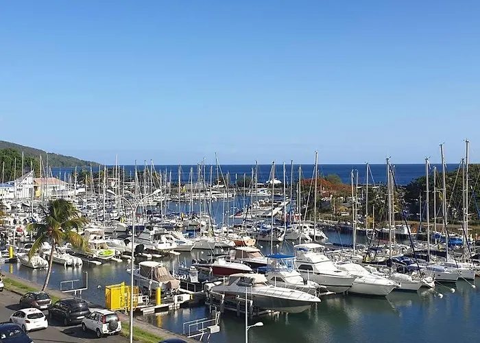 L\'Arbre Aux Papillons, Marina De Rivieres-Sens