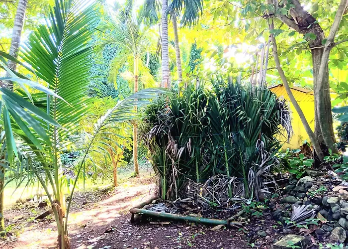 La Familia Guest House And Natural Farm