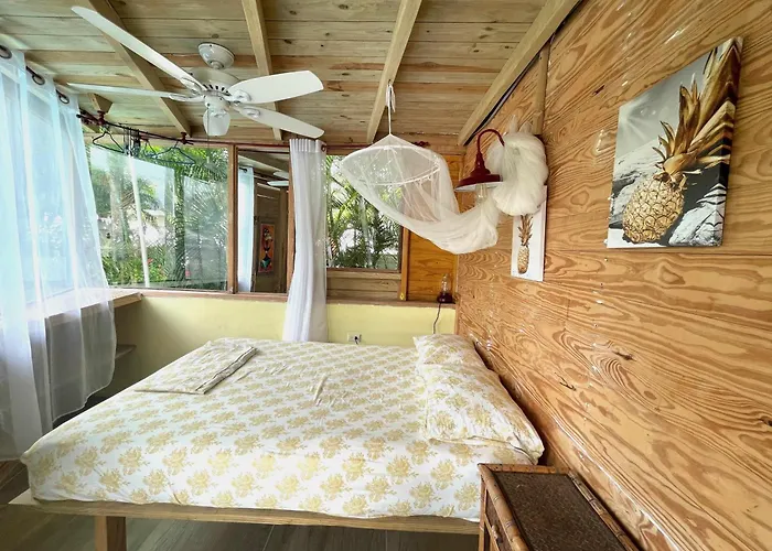 Cabarete Boutique Kite Hotel For Up To 15 People