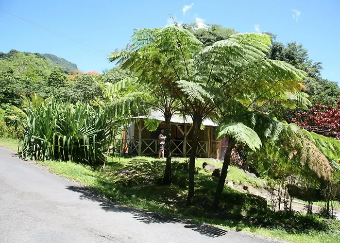 Natty Tropical Valley