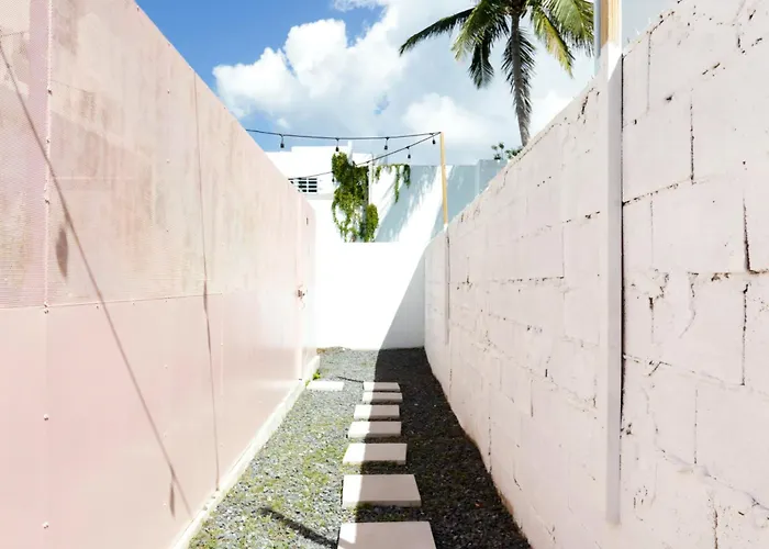 Tropicalia By Dw