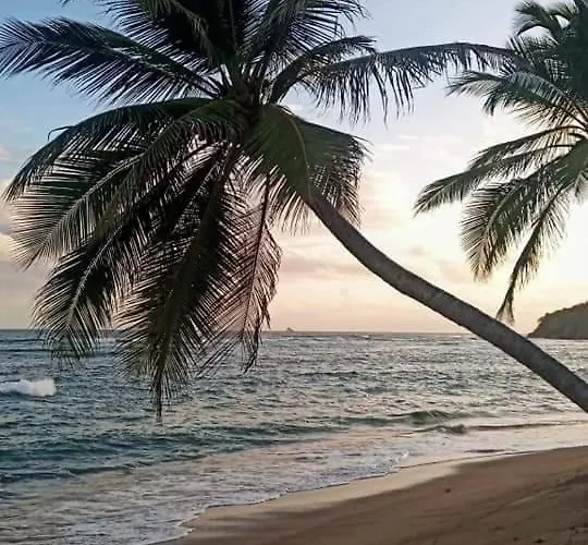 La Tartane