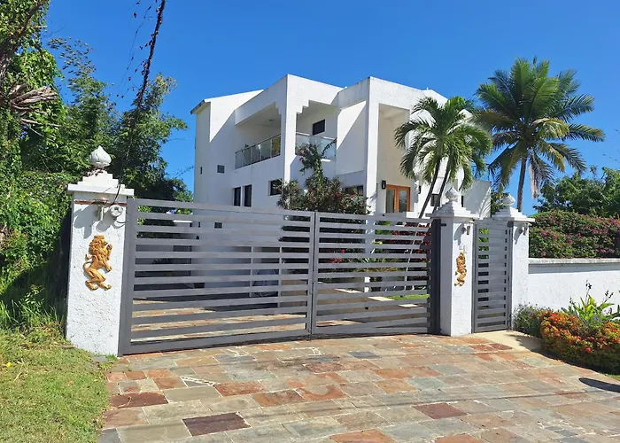 White House Mansion