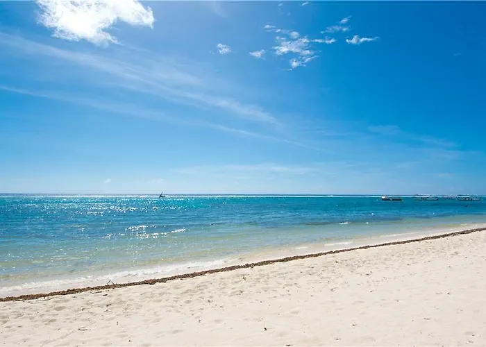 Caribbean Paradise #12