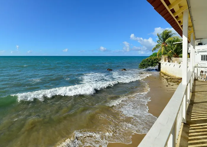 Lemon Tree Ocean Front
