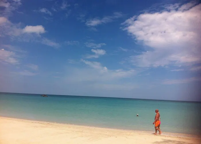 Roots Bamboo Beach Resort