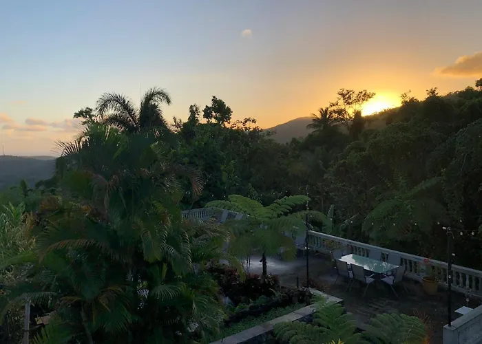El Yunque Rainforest Inn