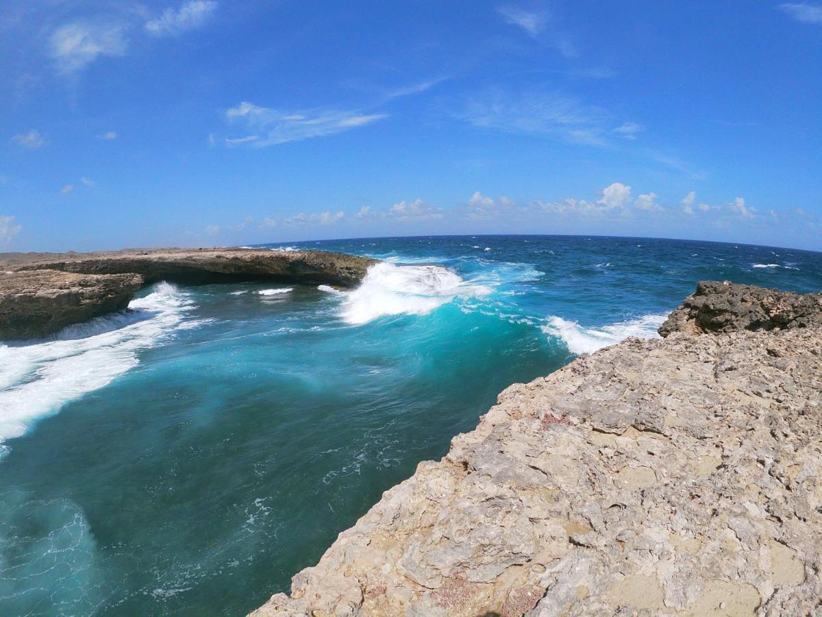 Breathtaking View - Playa - Curacao