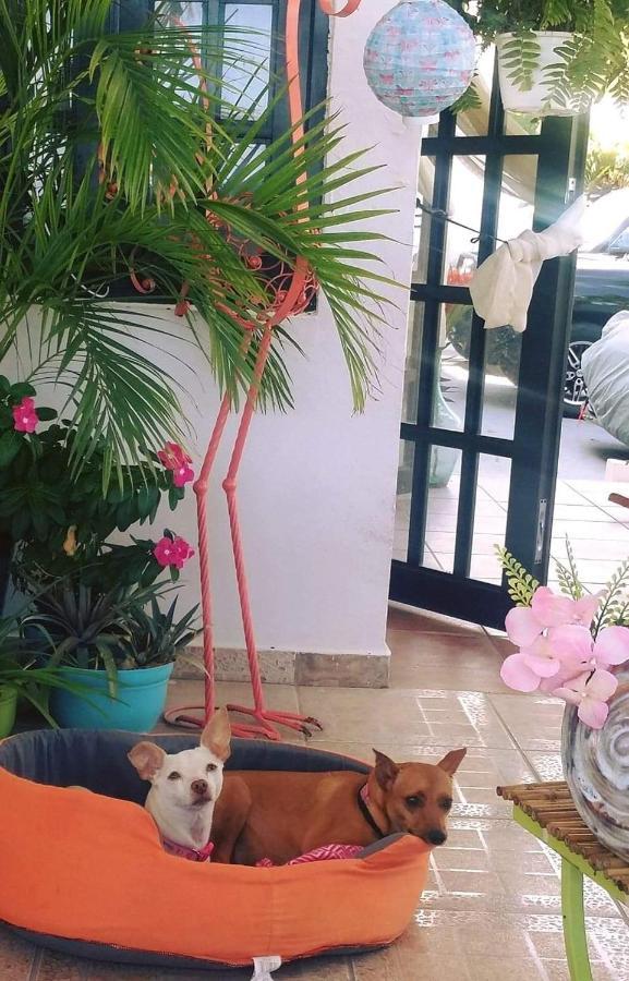 Casa Bonita Pensão *