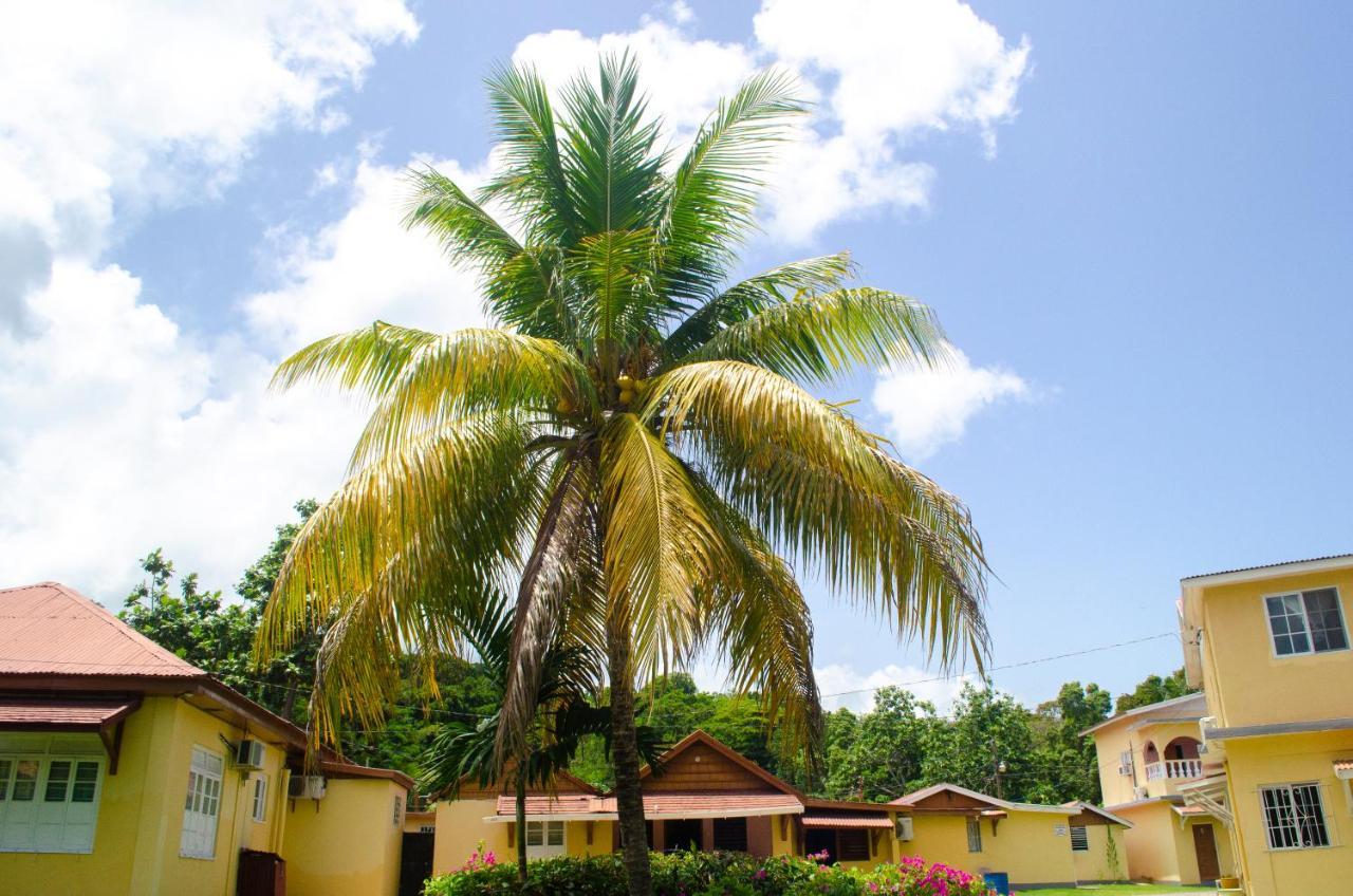 Guest house Little Shaw Park