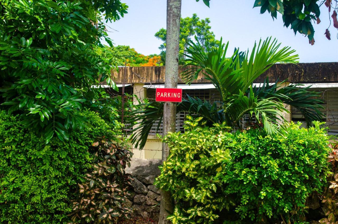 Guest house Little Shaw Park 2*