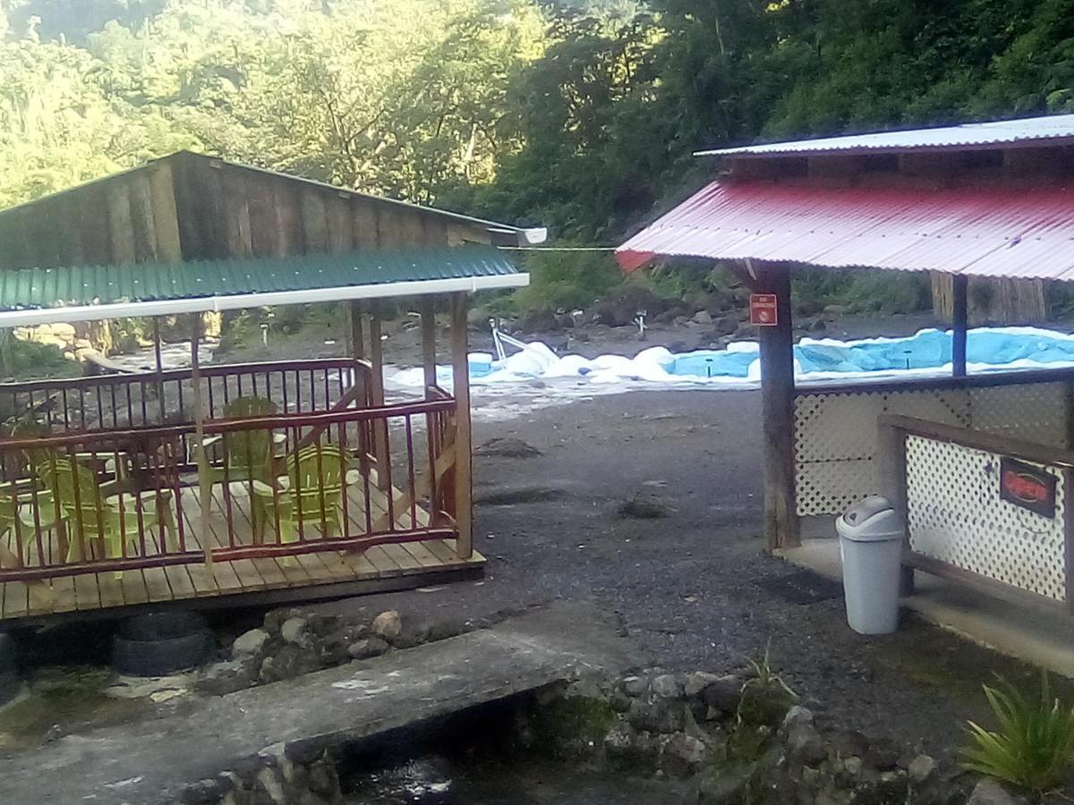 Natty Tropical Valley 2*