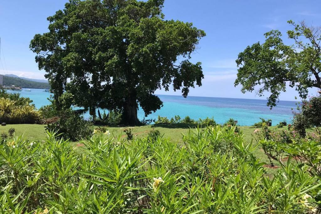 Contemporary Ocean View 2bed Carib Apartamento