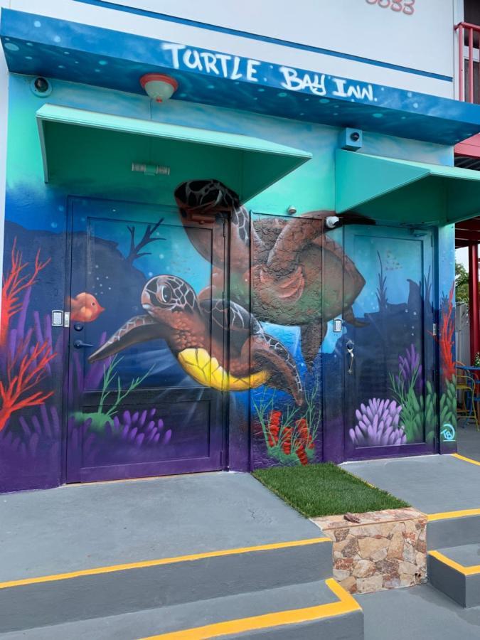 Turtle Bay Acomodação com café da manhã  3*
