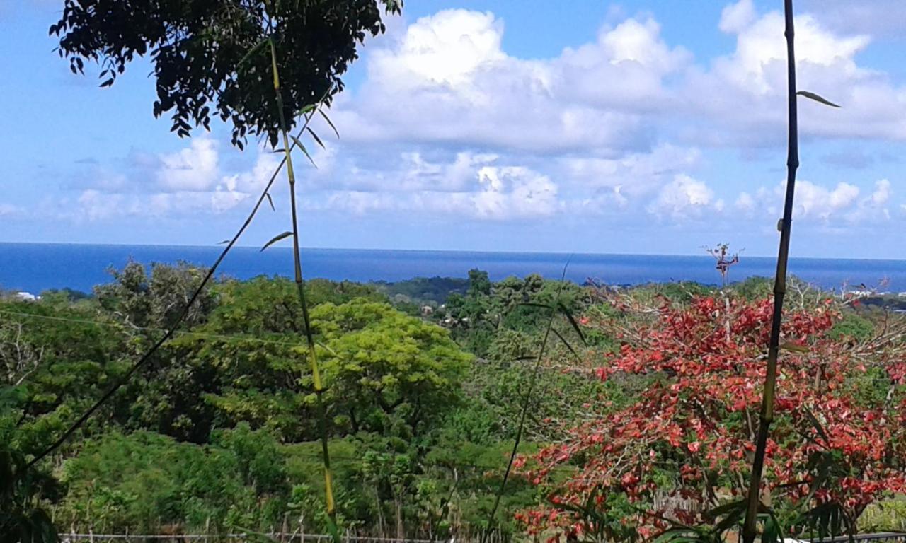 El Mirador Al Mar 2*