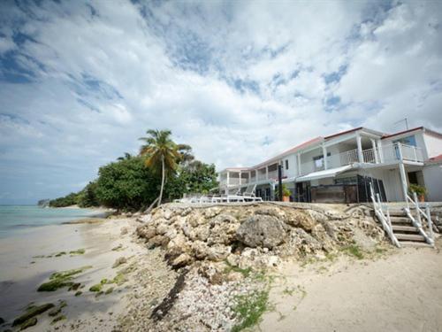 Coco Marie-galante Grand-Bourg (Marie Galante)