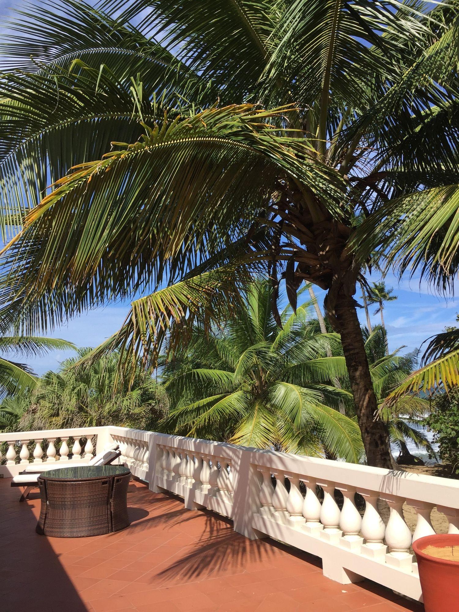 Casa Islena Inn Rincon