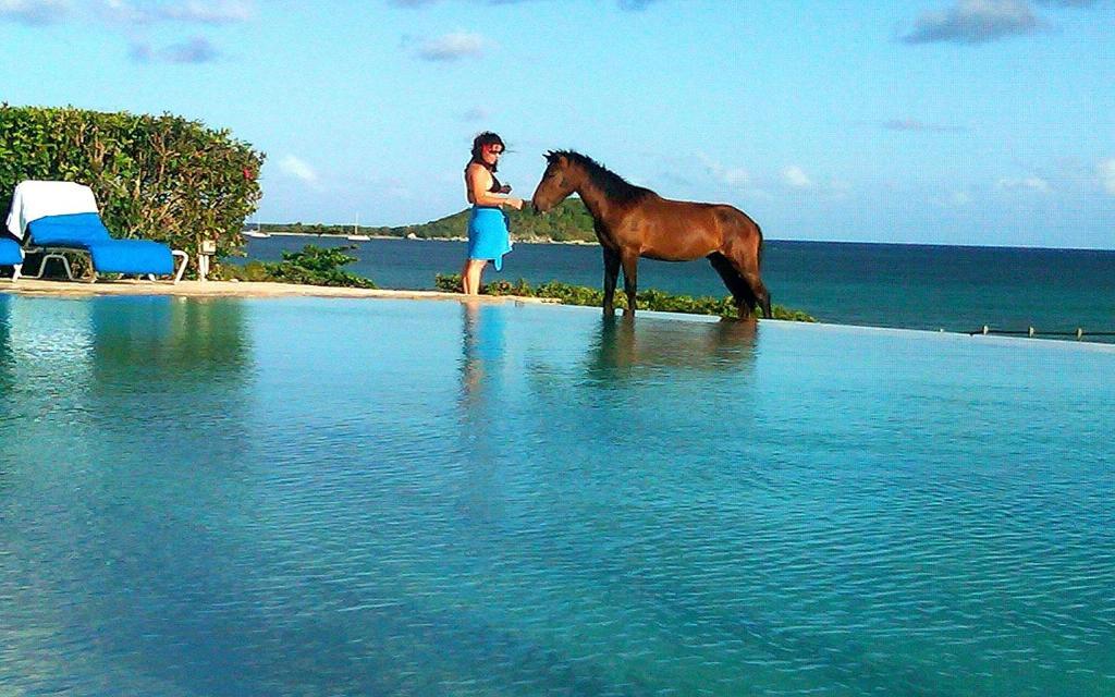 Blue Horizon Boutique (adults Only) Hotel 4*