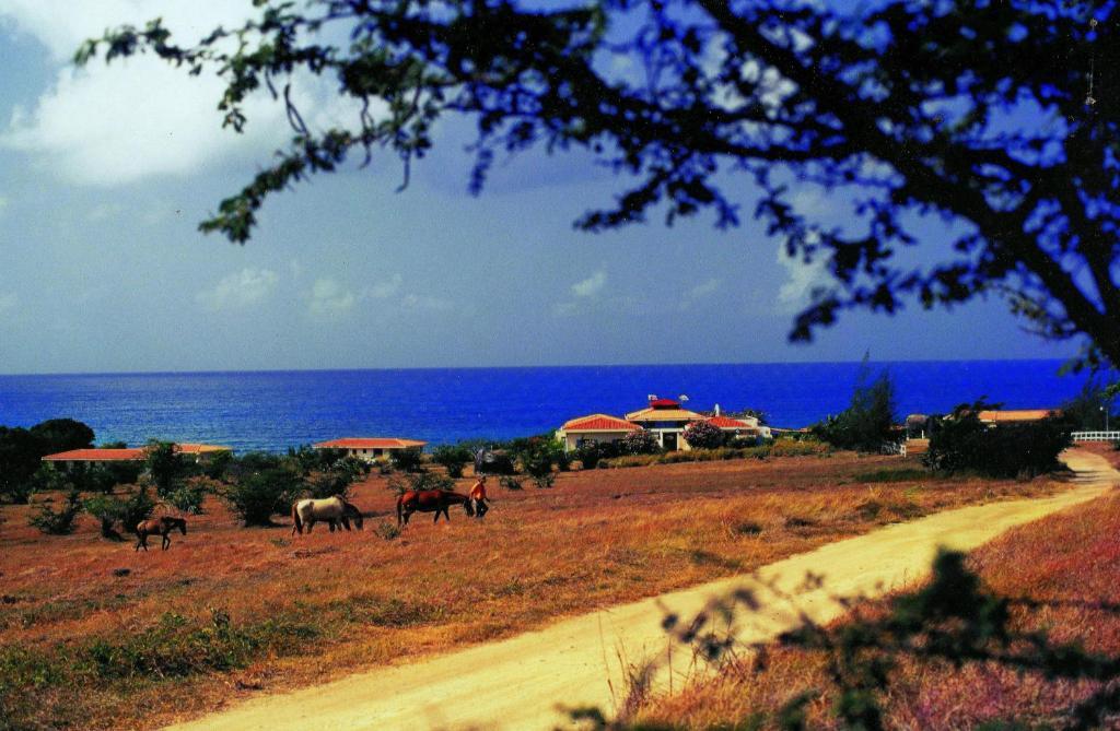 Blue Horizon Boutique (adults Only) Hotel Vieques