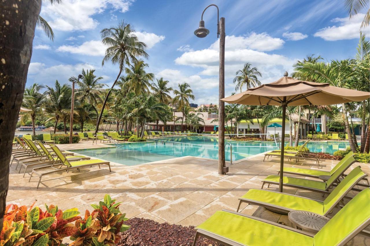Resort Margaritaville Vacation Club - St Thomas Frydendal