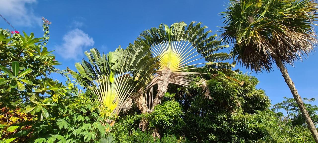 Can' Hibiscus Holiday home Le Marin