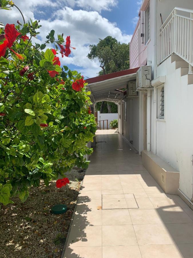 Coco Marie-galante Grand-Bourg (Marie Galante)