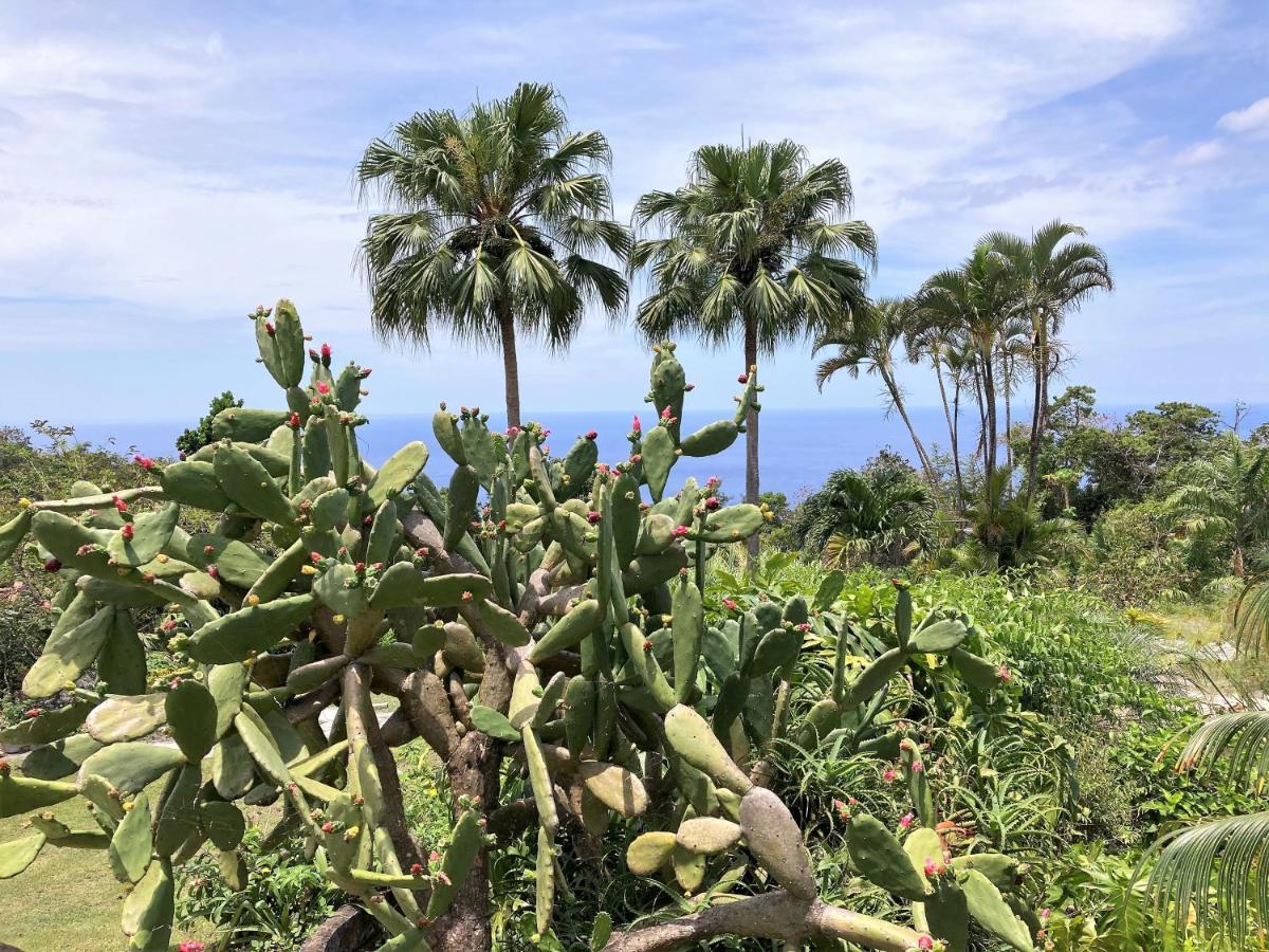 Tropicangel De Charme Hotel 4*