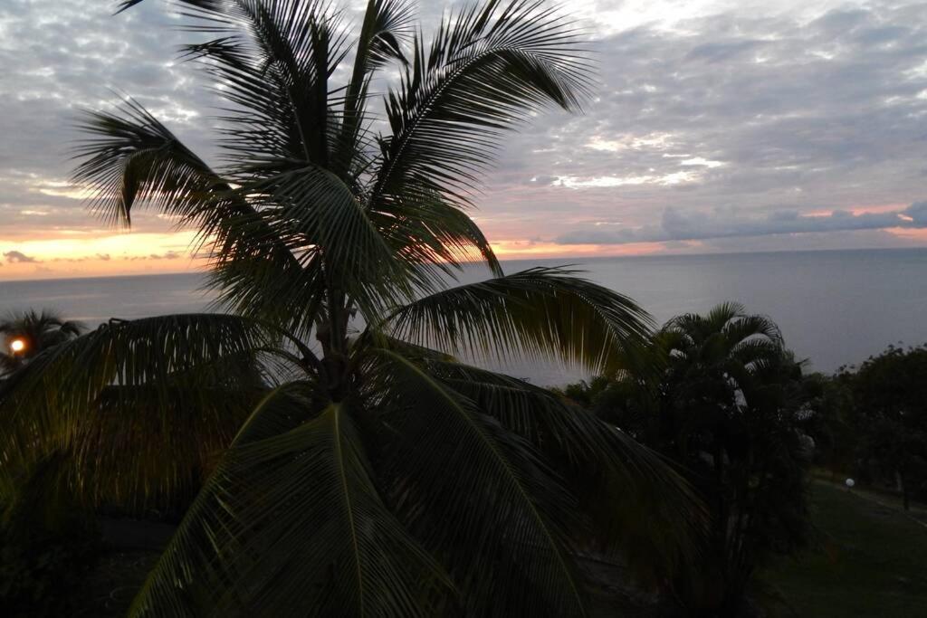 Le Morne Charlotte Holiday home *