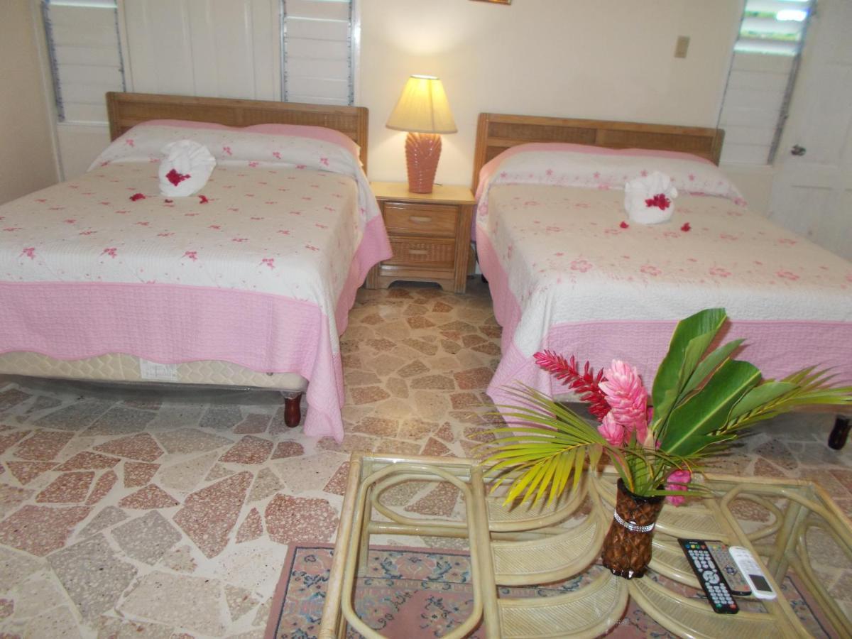 Inn Paradise Port Antonio