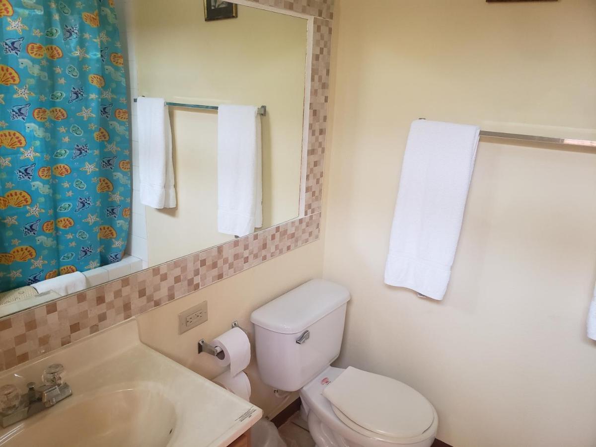Sea Shell Palms, Acomodação com café da manhã  3*