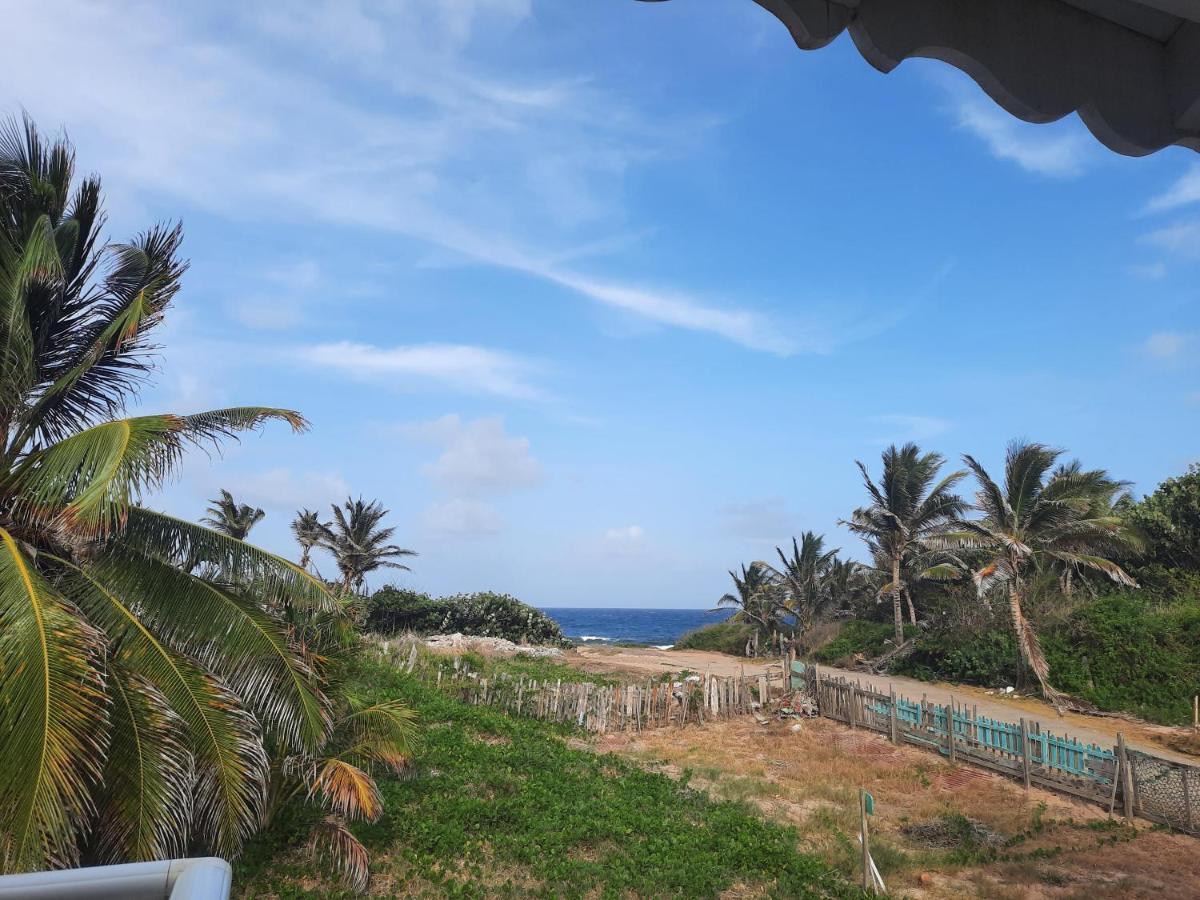Sur L'anse Terre-De-Haut