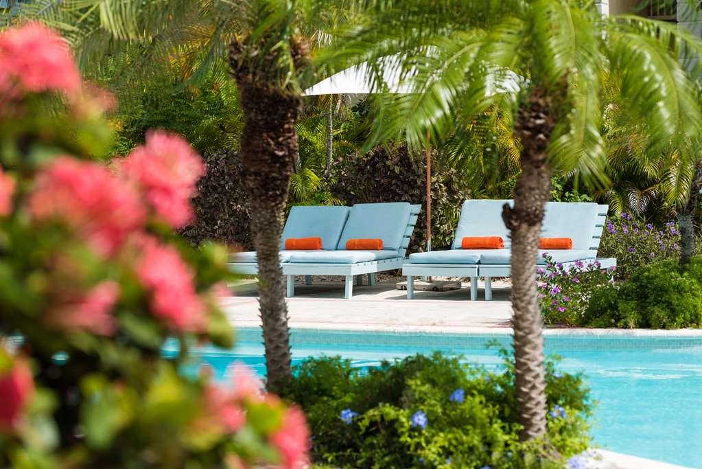 House (adults Only) 4*