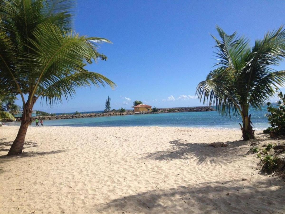 Apartment Savane Le Gosier (Grande-Terre)