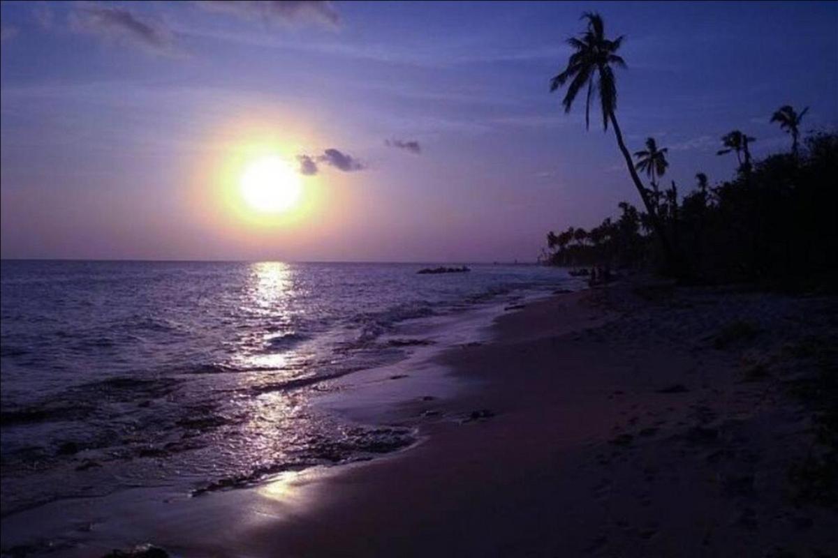 Dume *
