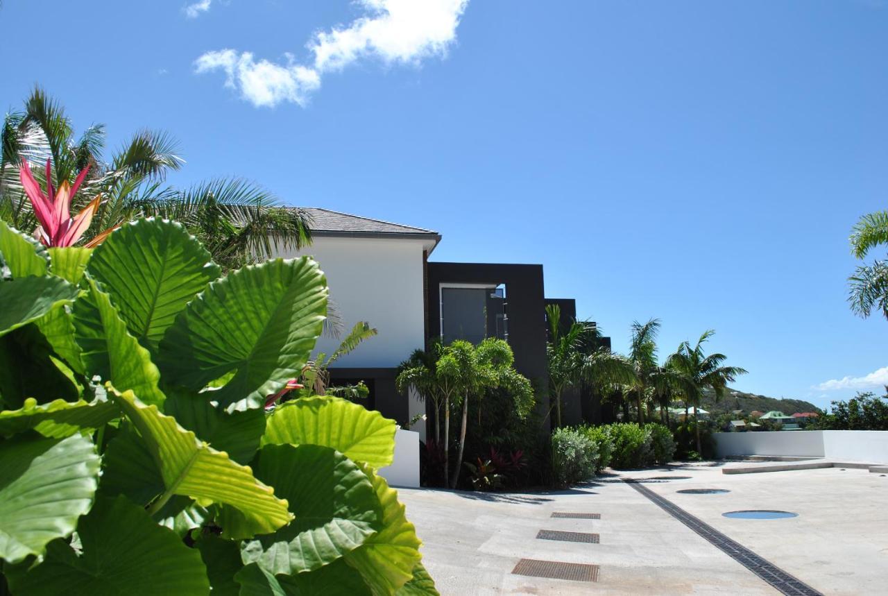 Apartment Reve De Saint Barth - Vue - Piscine Chauffee & Jacuzzi *