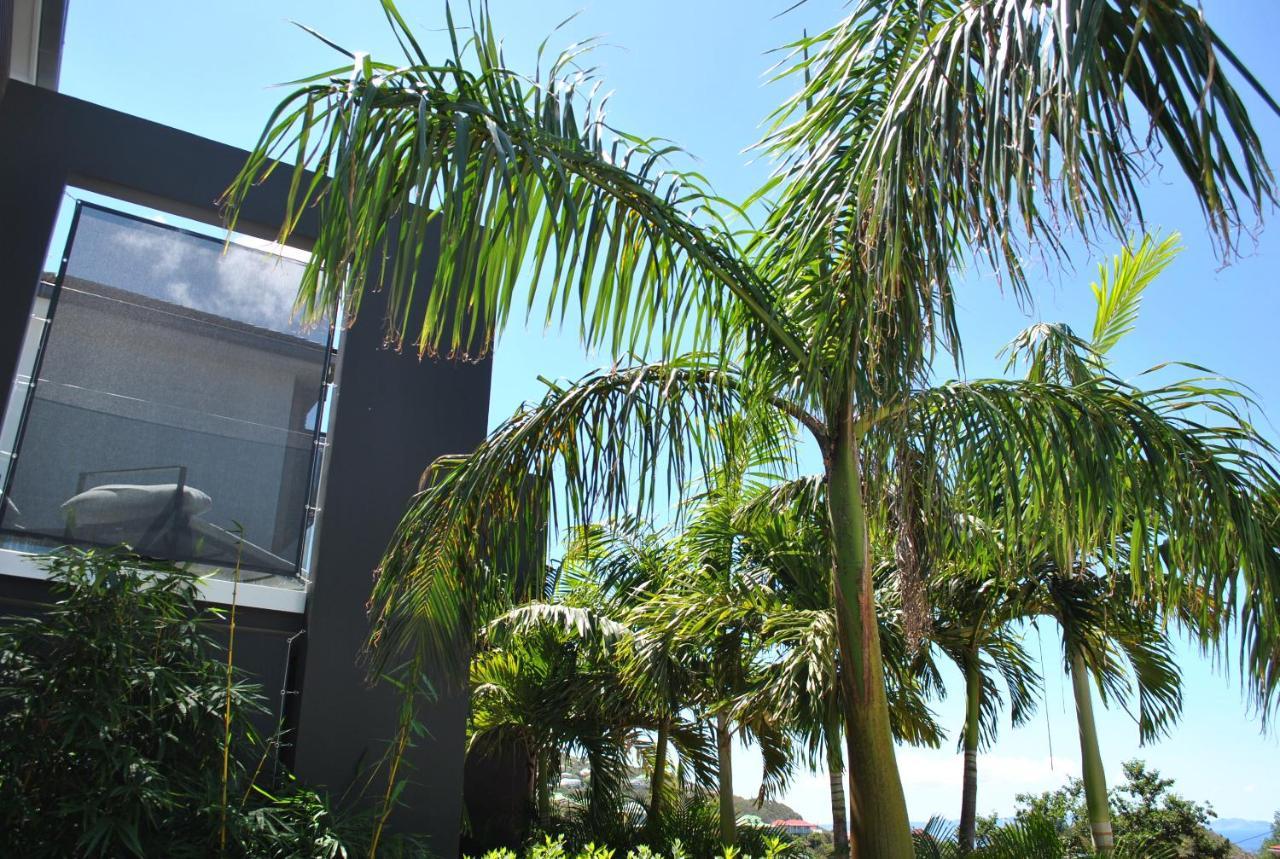 Reve De Saint Barth - Vue - Piscine Chauffee & Jacuzzi Gustavia