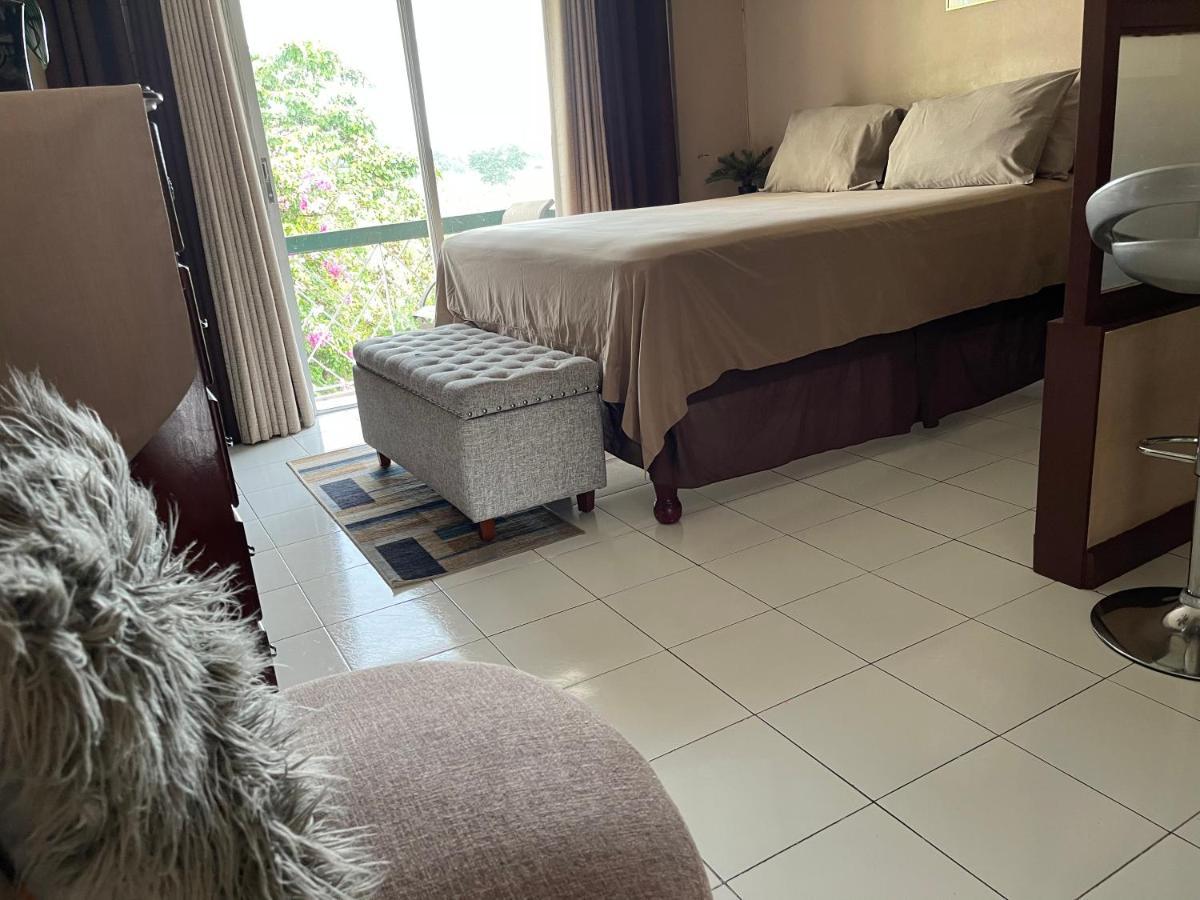 Cityscape At Chelsea Manor / New Studio! Apartment Kingston