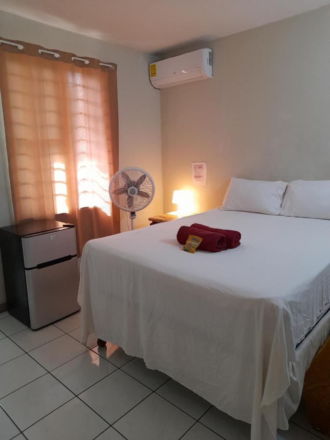 Homestay Camelia Kingston
