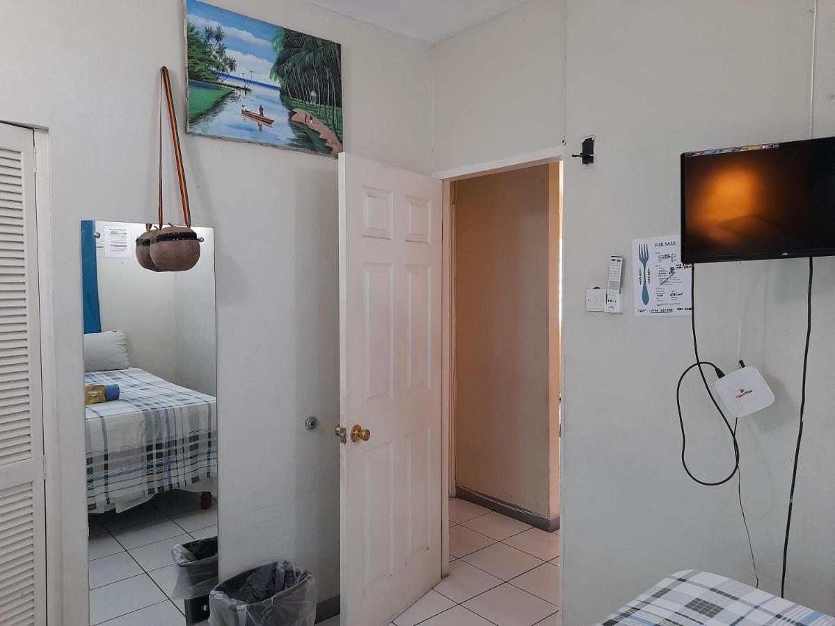 Camelia Homestay Kingston
