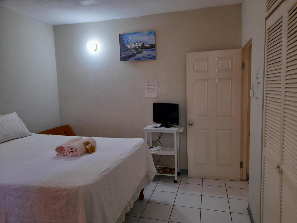 Homestay Camelia *