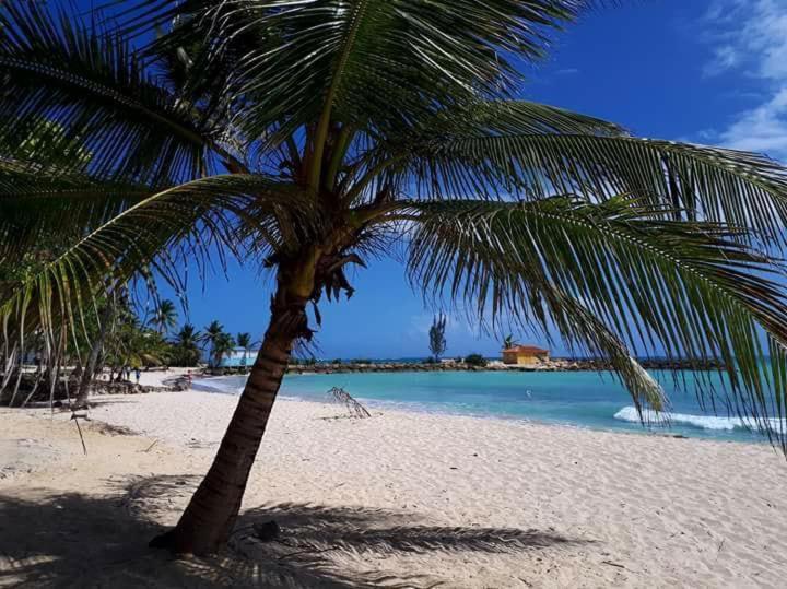 Apartment Savane Le Gosier (Grande-Terre)
