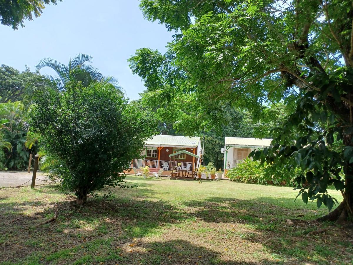 Papaye