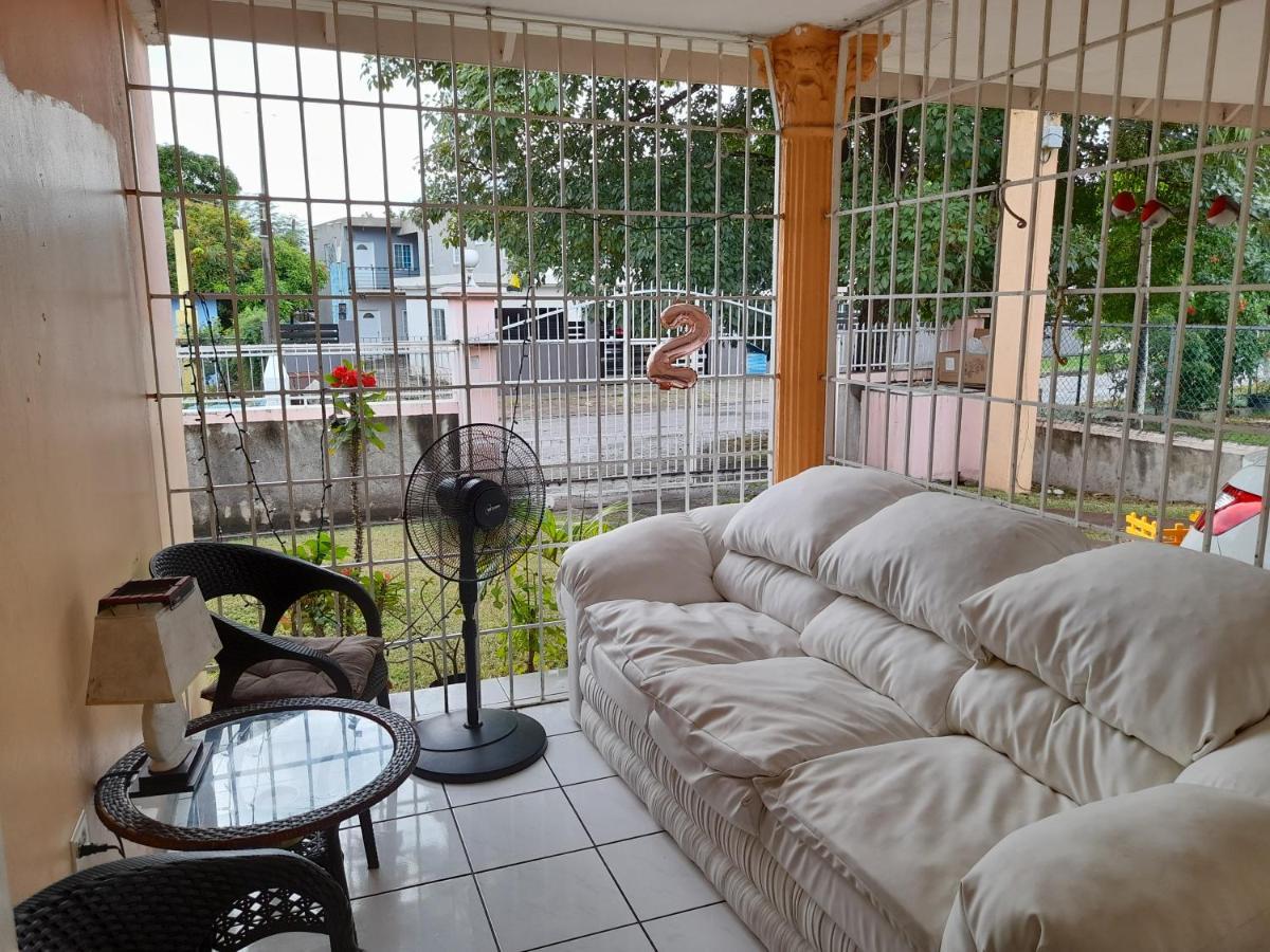 Homestay Camelia Kingston