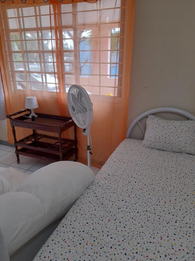 Homestay Camelia