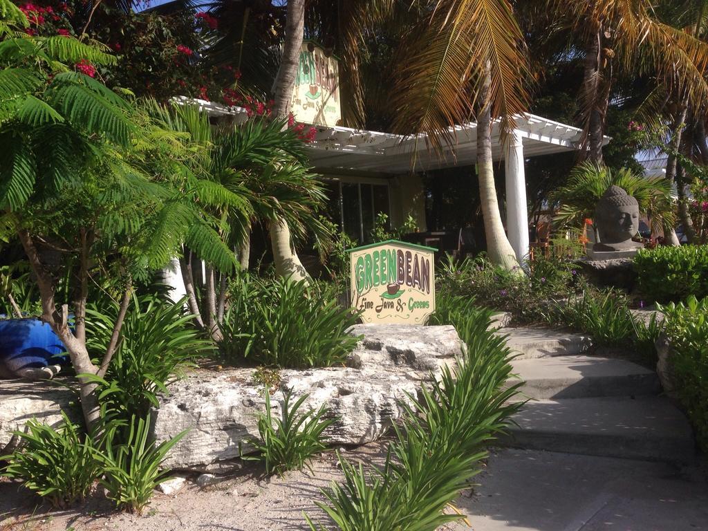 La Vista Azul Turtle Cove