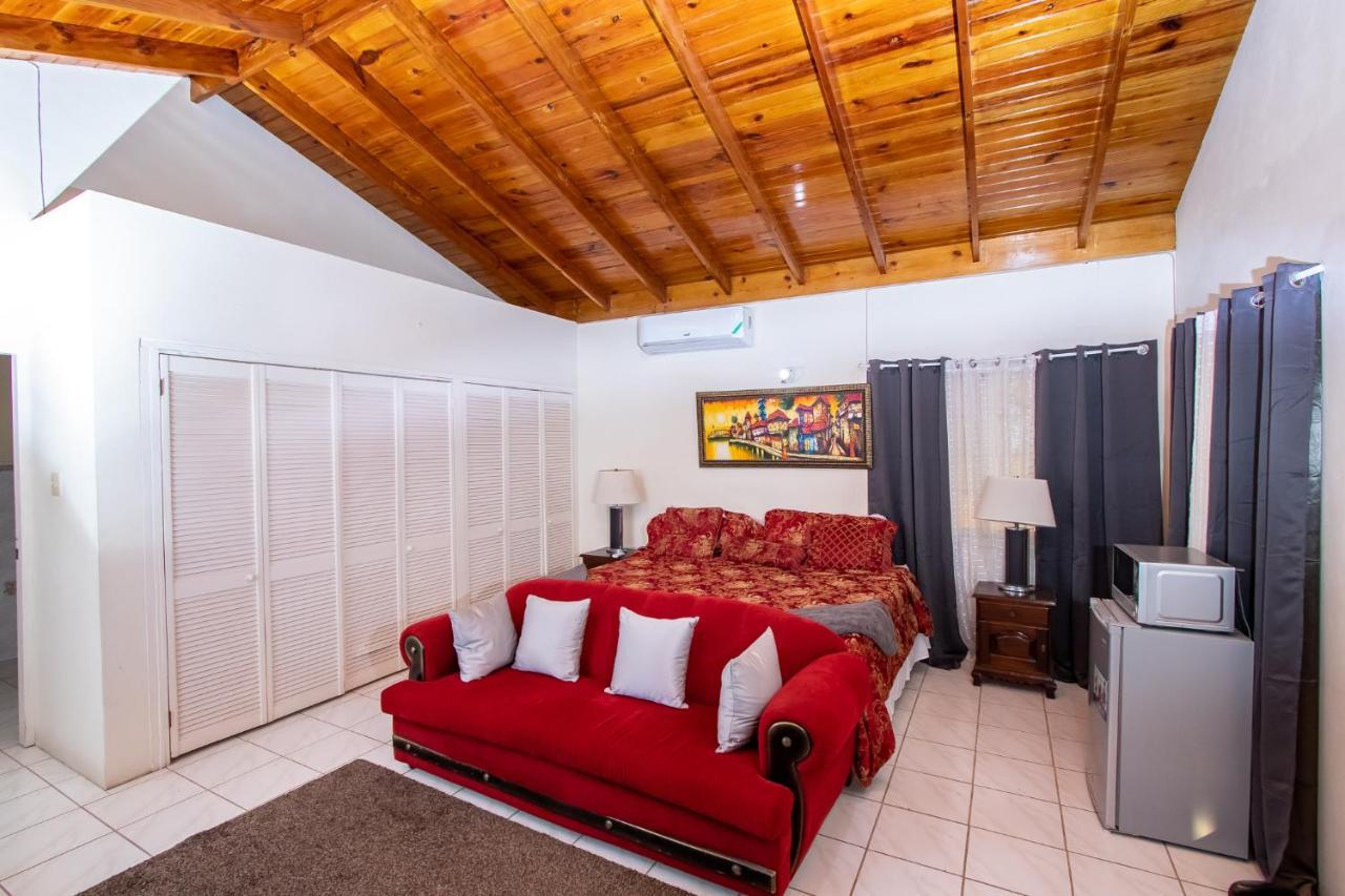 Homestay 876 Ja Oasis & - By Airport Kingston