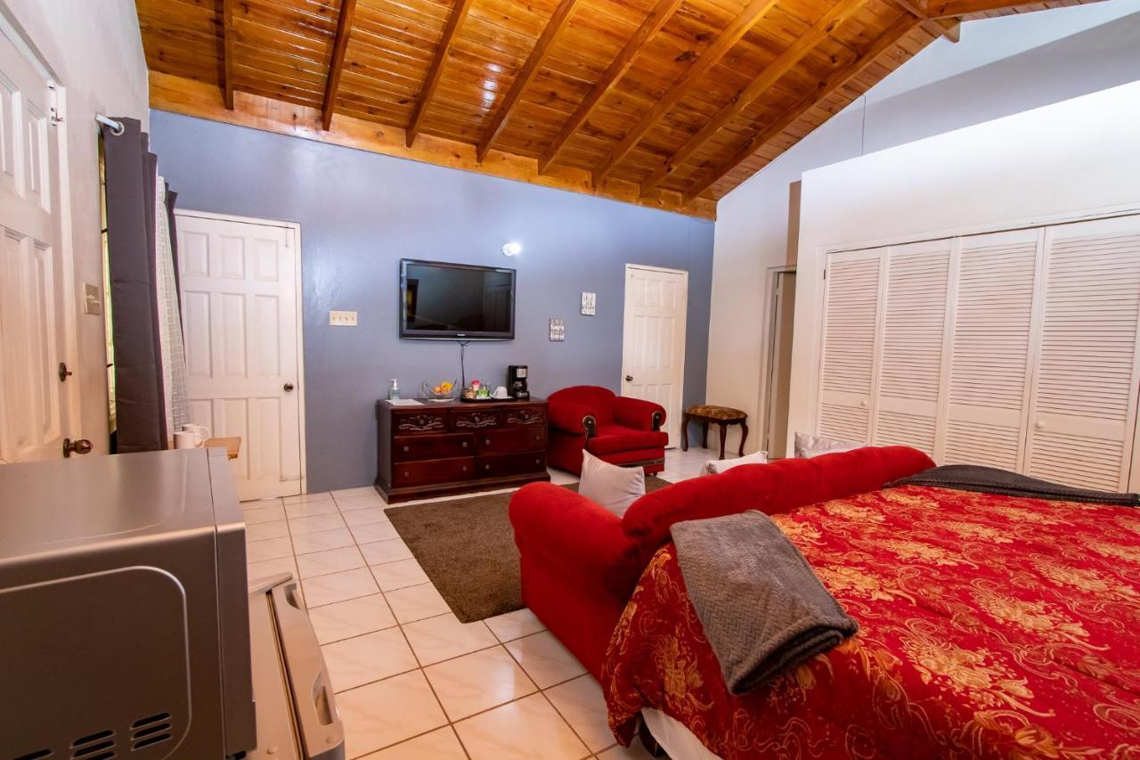 876 Ja Oasis & - By Airport Homestay Kingston