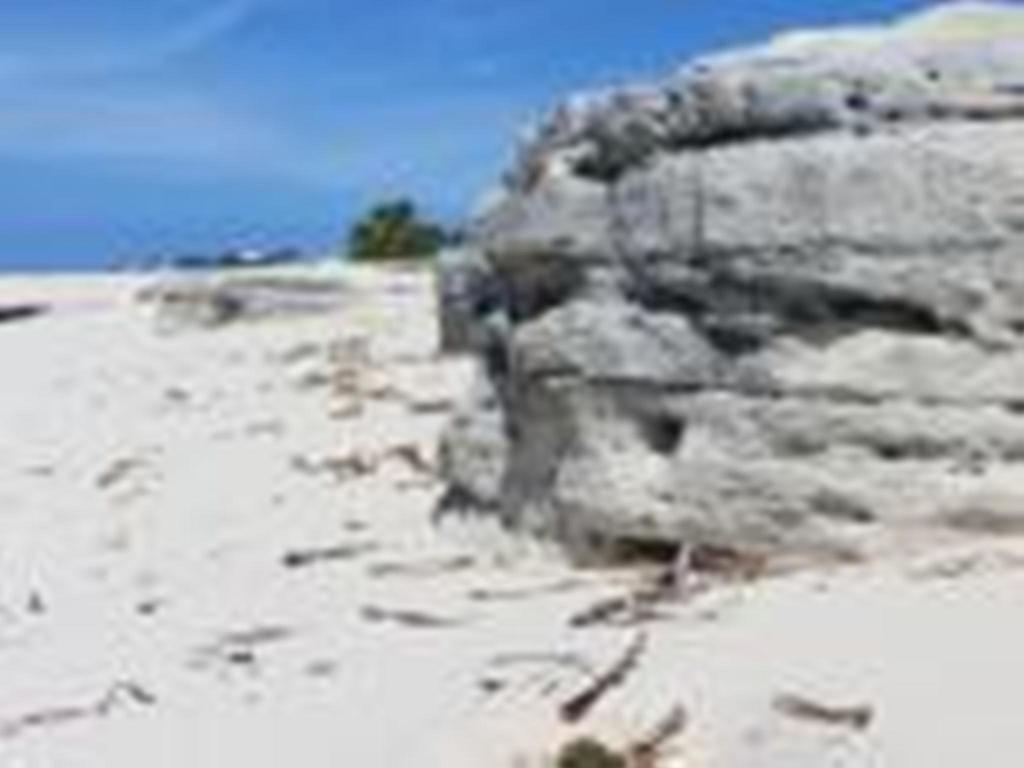 La Vista Azul Turtle Cove