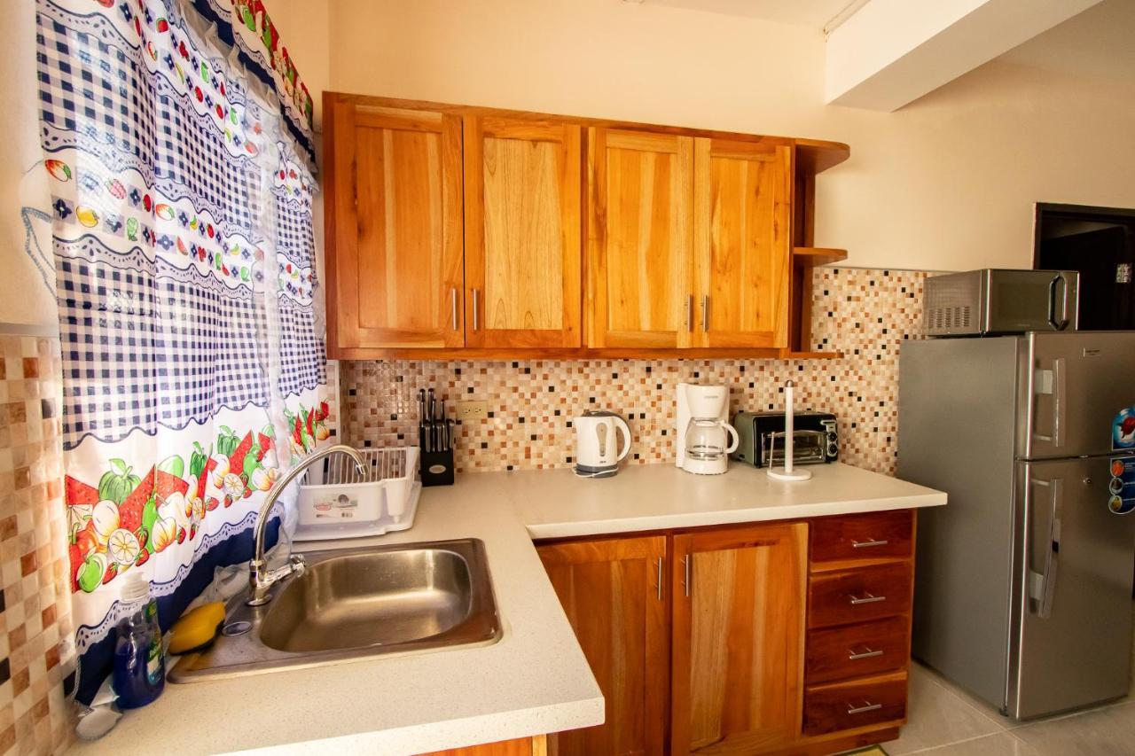 876 Ja Oasis & - By Airport * Kingston