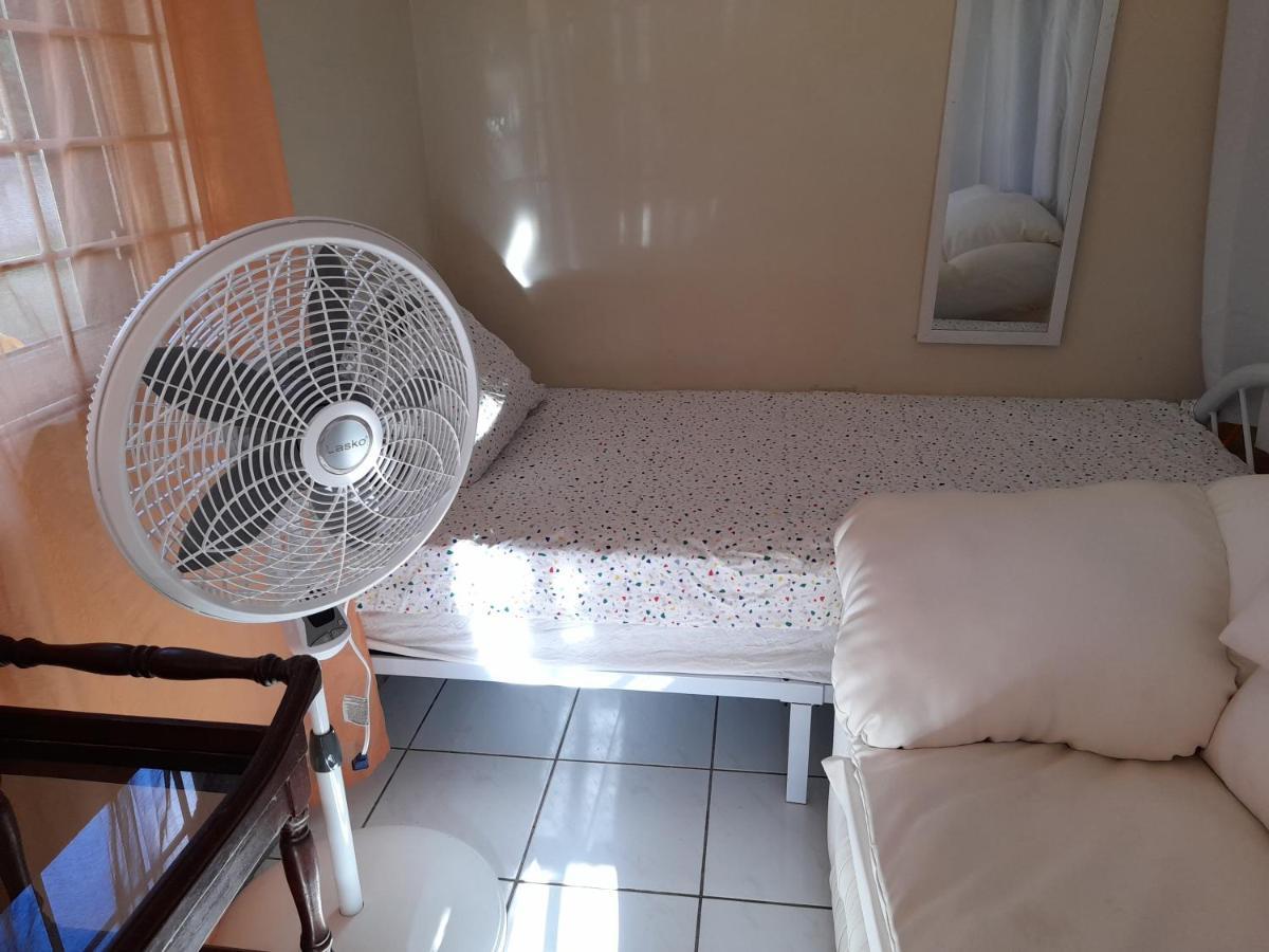 Camelia Homestay Kingston